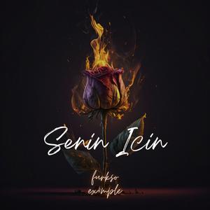 Senin İçin (Explicit)