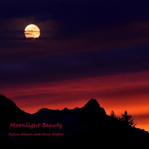 Moonlight Beauty(feat. Dave Steffen)