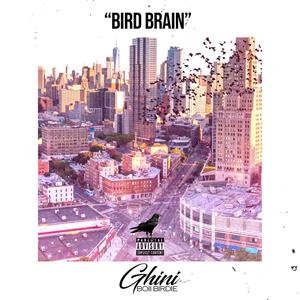 Bird Brain (Explicit)