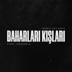 Mehmet Edip Gedik - Baharları Kışları (Remix)