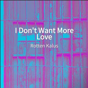 I Don't Want More Love