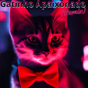 Gatinho Apaixonado (Remix)