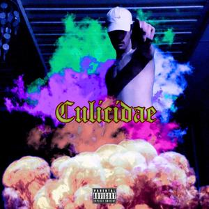 Culicidae (Explicit)