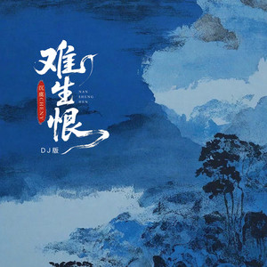 难生恨 (御姐DJ版)封面