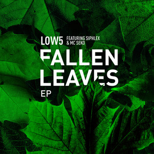 The Cold (Original Mix)