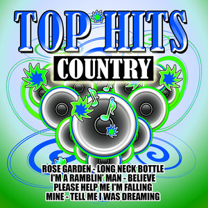 Top Hits-Country