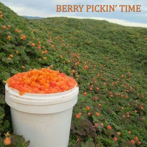 Berry Pickin' Time