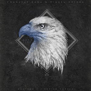 Dark Side (Enrico Caruso Dub Remix)