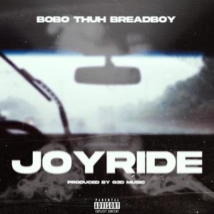 Joyride (Explicit)