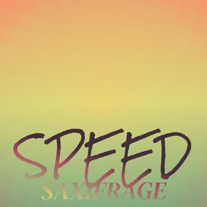 Speed Saxifrage