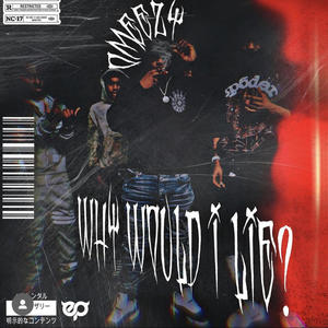 WHY WOULD I LIE (Explicit)