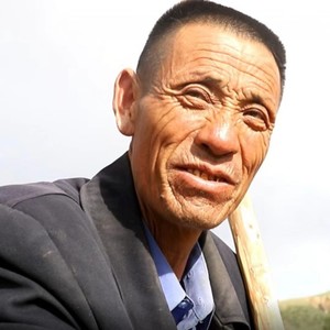 珍珠倒卷帘封面