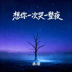 想你一次哭一整夜