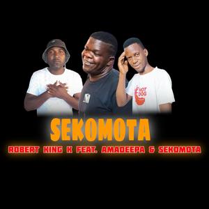 SEKOMOTA (feat. Amadeepa & Sekomota) (Ngwana Sesi)
