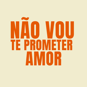 Não Vou te Prometer Amor (Explicit)