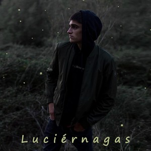 Luciérnagas