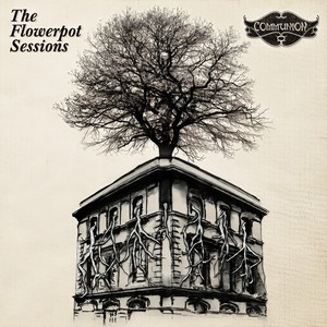 Mexico (Live At The Flowerpot, Kentish Town, July 2010)