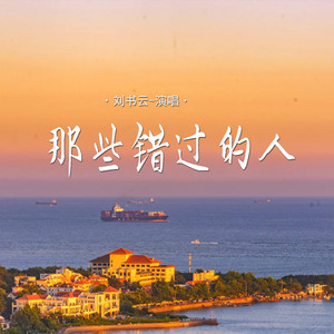 刘书云 - 那些错过的人