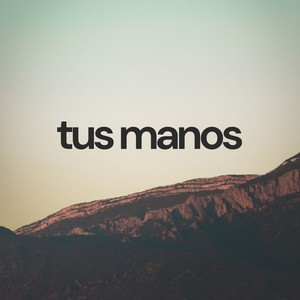 tus manos