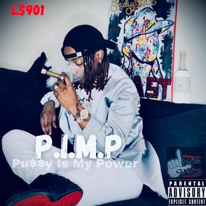 P.I.M.P (PU$$Y I$ MY POWER) [Explicit]