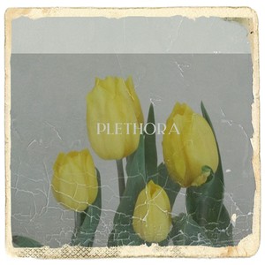 Plethora