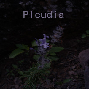 Pleudia