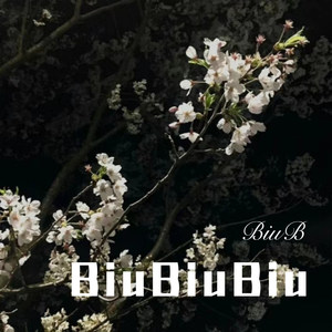 BiuBiuBiu (Remix)