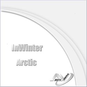 InWinter-Arctic (Original Mix)