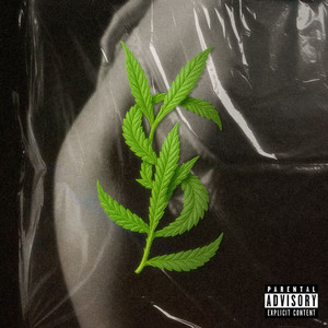 Saint Laurent (Explicit)