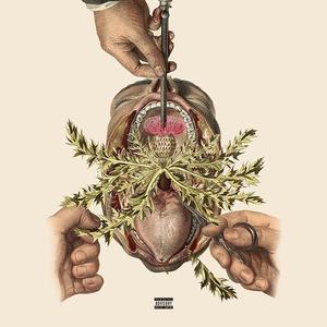 PAPAVERI&OPPIO (Explicit)