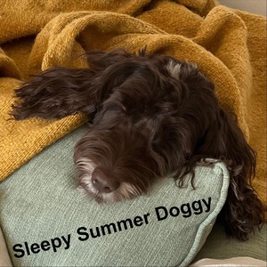 Sleepy Summer Doggy (Acoustic Version)