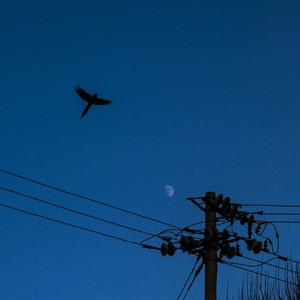 jacob and the stone (super slowed)