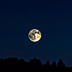 Sende Kalan (feat. Merve) (Explicit)