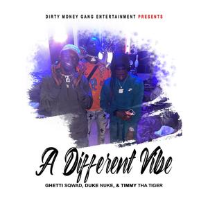 A Different Vibe (feat. Duke Nuke & Timmy Tha Tiger) [Explicit]