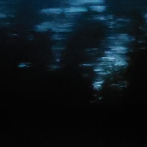 elevynn - complected