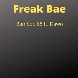 Freak Bae(feat. Dawn) (Explicit)