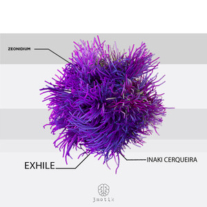 Zeonidium (Original Mix)