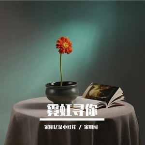 霓虹寻你