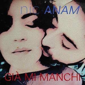 Giá mi manchi (feat. Anam Hermit) [DJ Testa Remix]