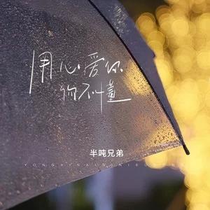 用心爱你你不懂 (心碎版)封面