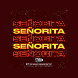 Señorita (feat. TheBeatMage) (Explicit)