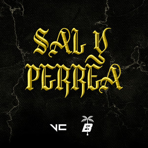 Sal y Perrea (Remix)