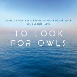 To Look for Owls