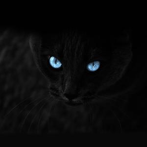 Black Chunni