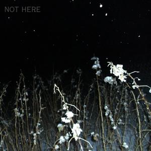 not here (feat. DripOBaby) (Explicit)