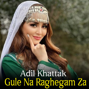 Gule Na Raghegam Za