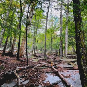 places dont remember us