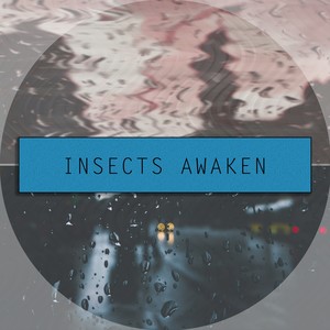 蛰 （Insects awaken）