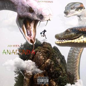 Anaconda (Explicit)