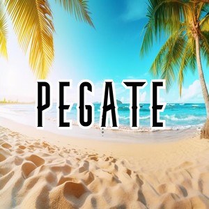 PEGATE (Explicit)